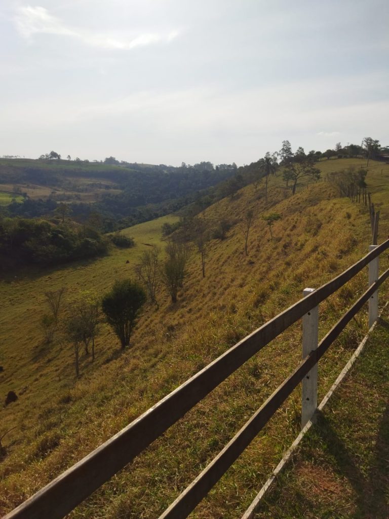 Ricarddo Barros Guerreiro