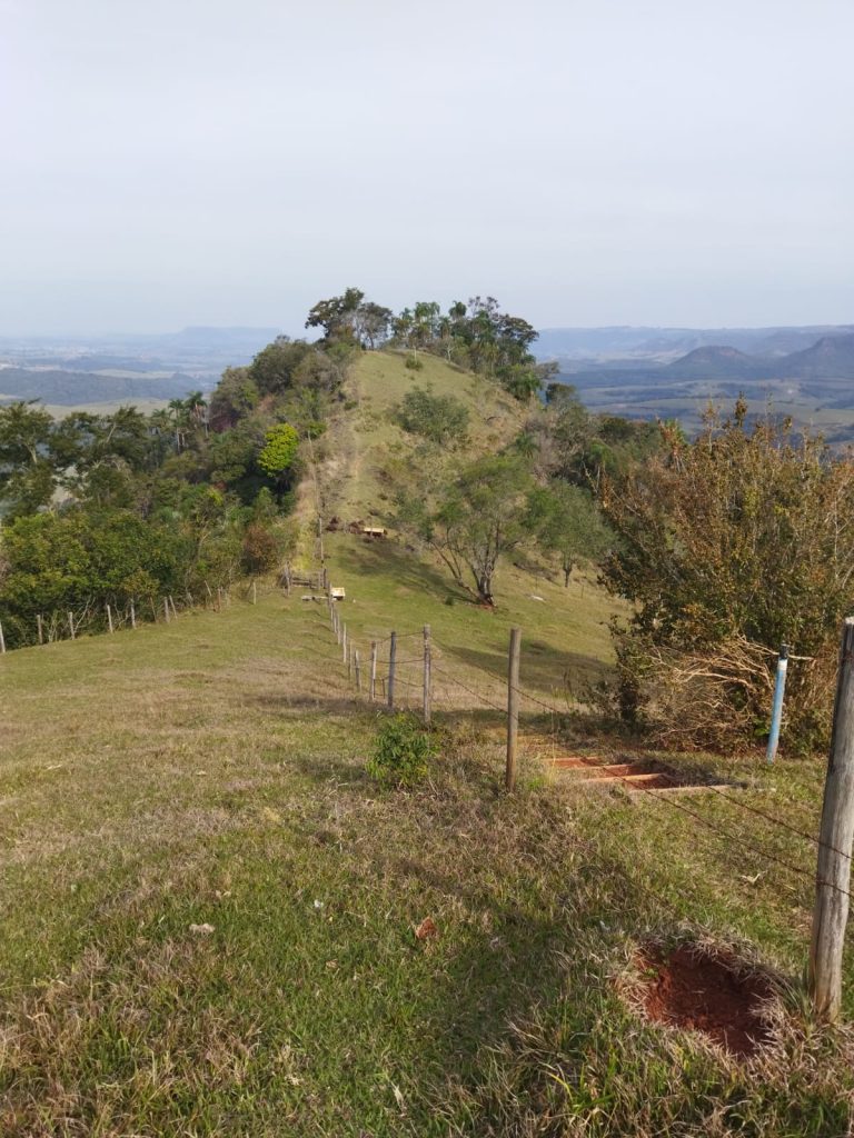 Ricarddo Barros Guerreiro