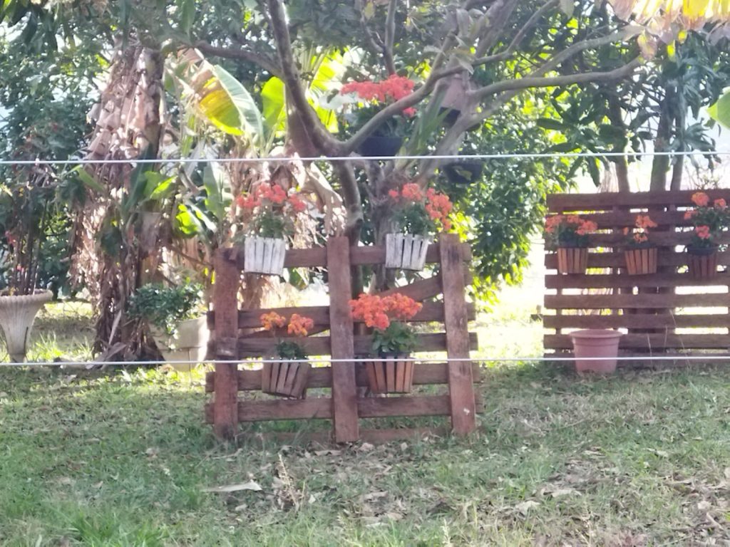 Ricarddo Barros Guerreiro