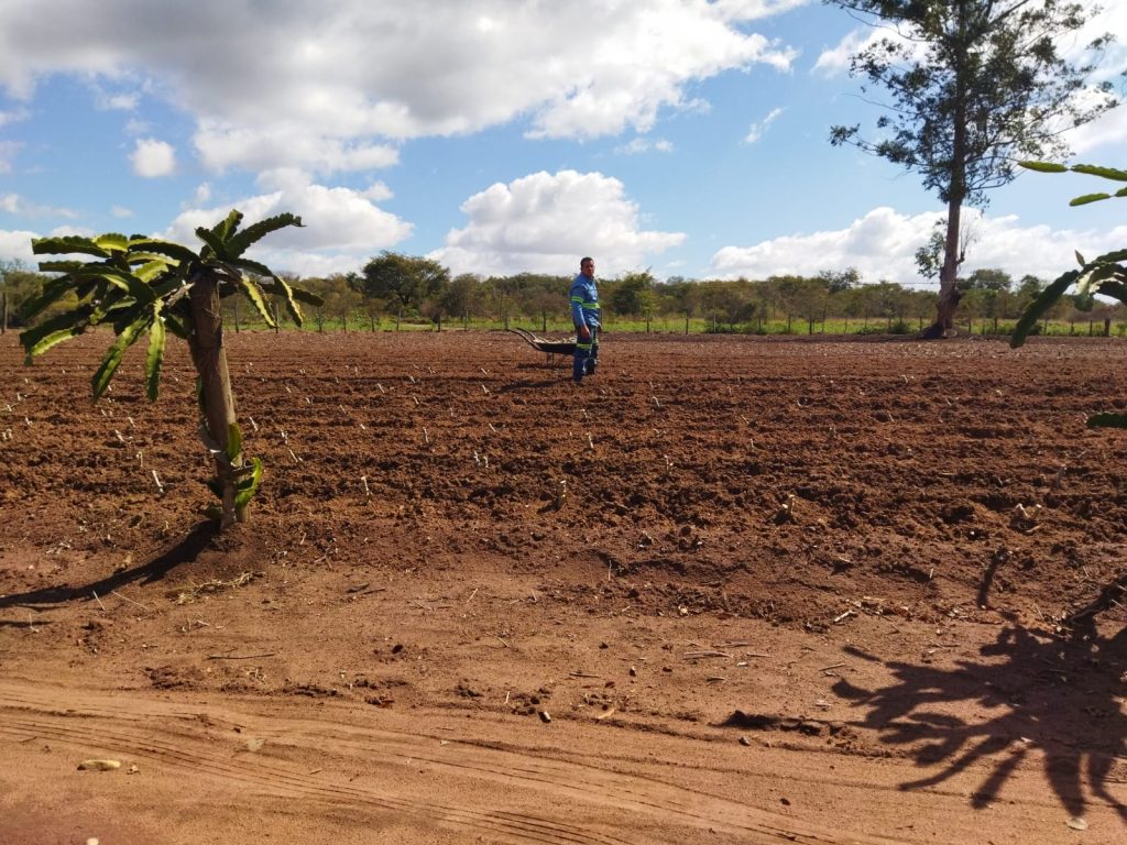 Ricarddo Barros Guerreiro