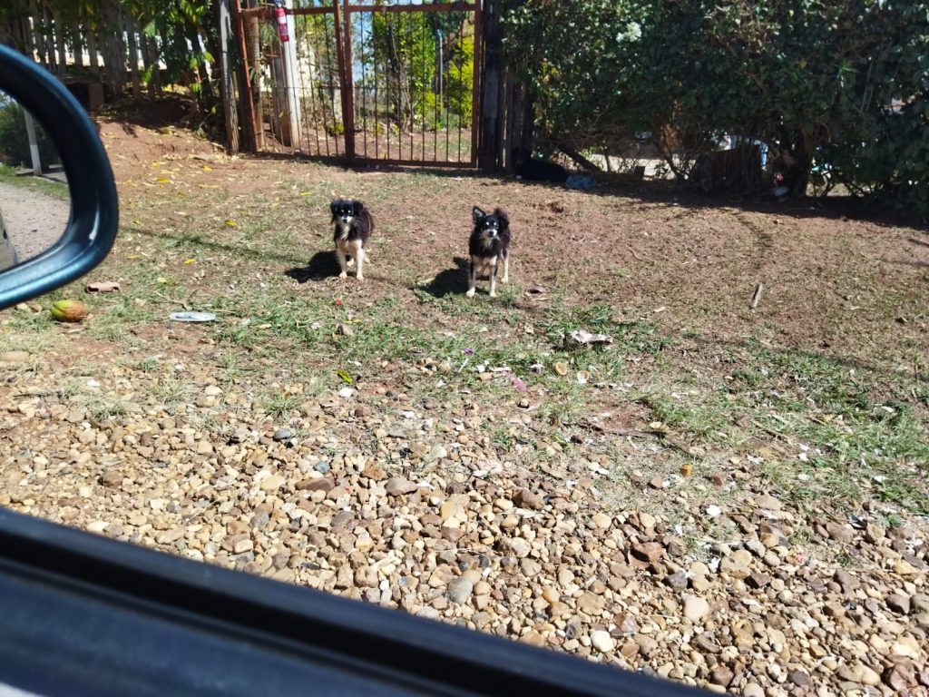 Ricarddo Barros Guerreiro