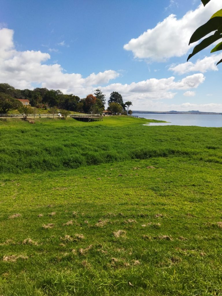 Ricarddo Barros Guerreiro