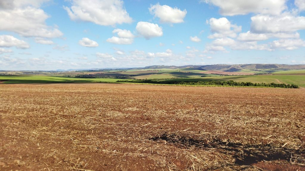 Ricarddo Barros Guerreiro