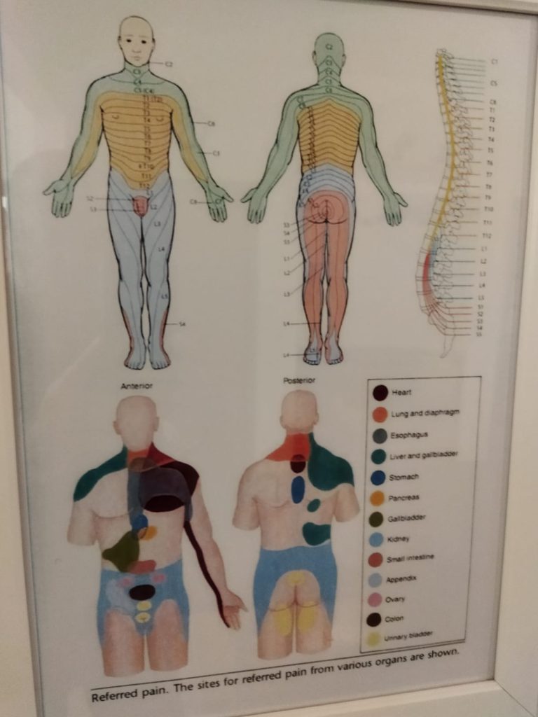 Ricarddo Barros Guerreiro