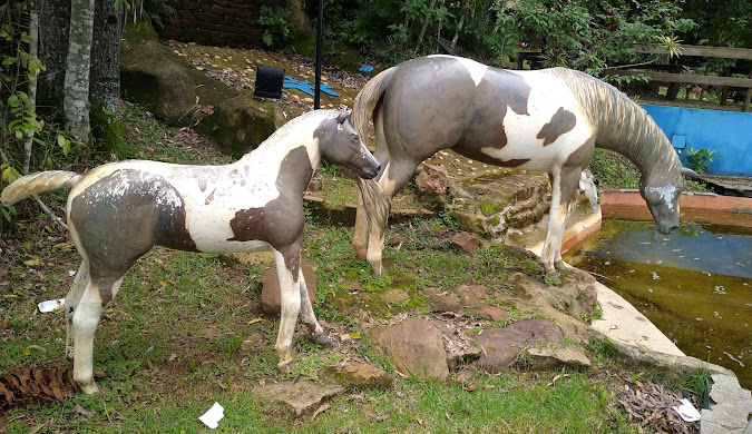 Ricarddo Barros Guerreiro