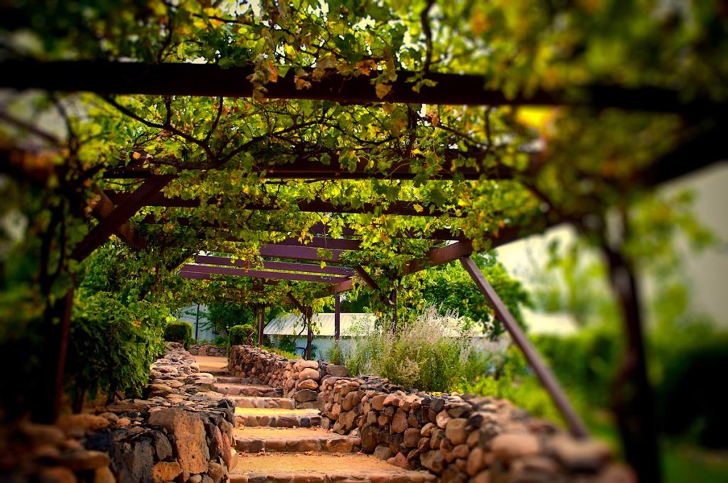 Ricarddo Barros Guerreiro