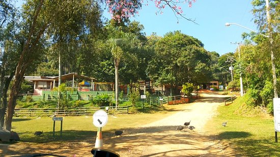 Ricarddo Barros Guerreiro