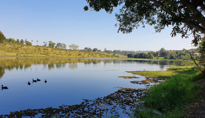 Ricarddo Barros Guerreiro