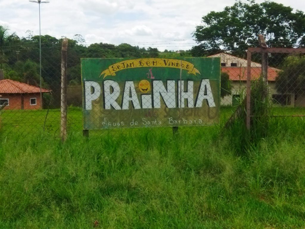 Ricarddo Barros Guerreiro