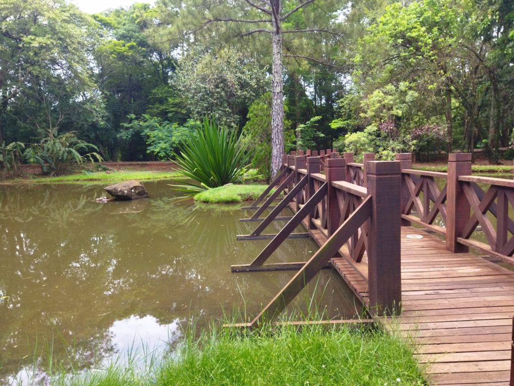 Ricarddo Barros Guerreiro