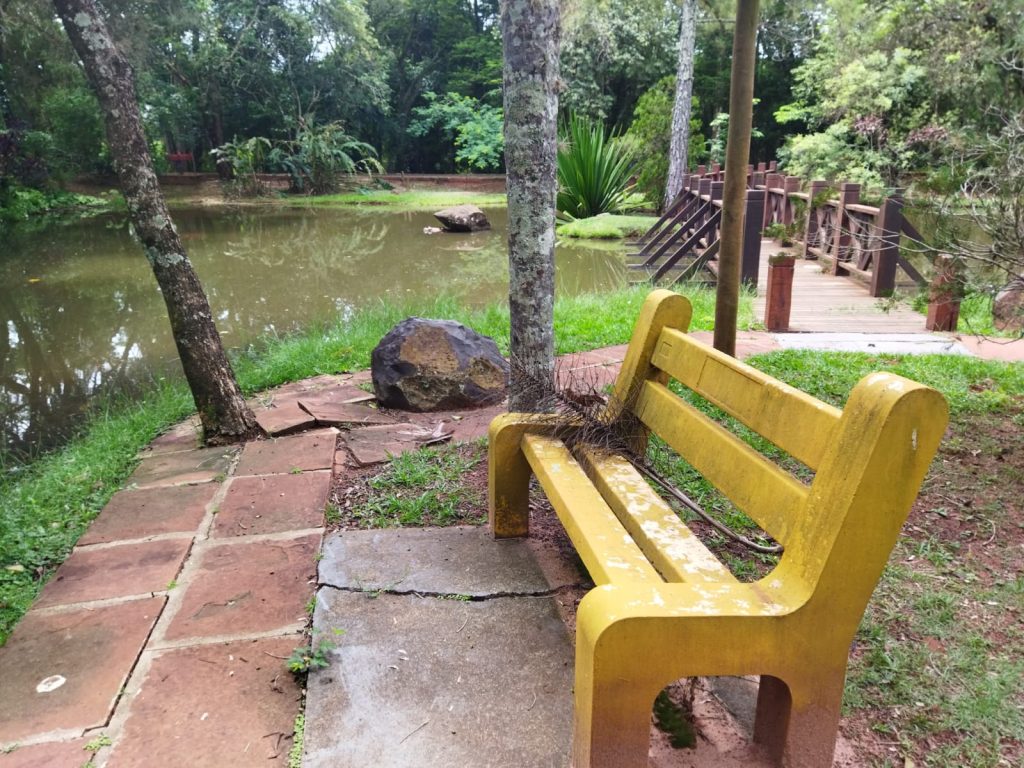 Ricarddo Barros Guerreiro