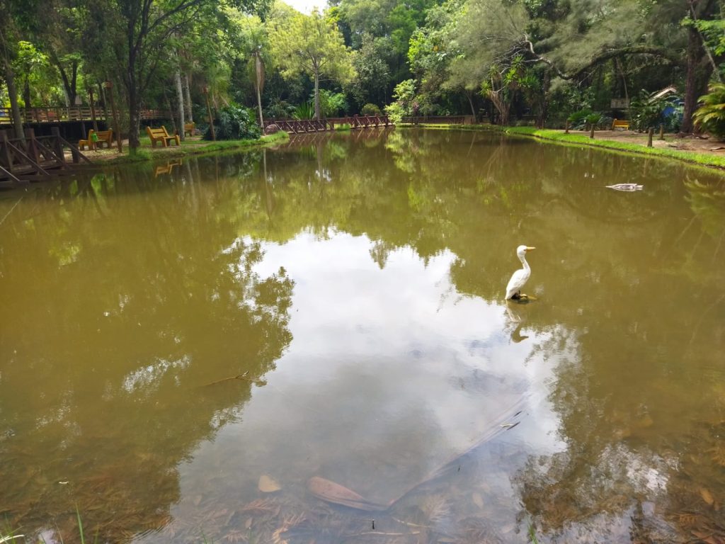 Ricarddo Barros Guerreiro