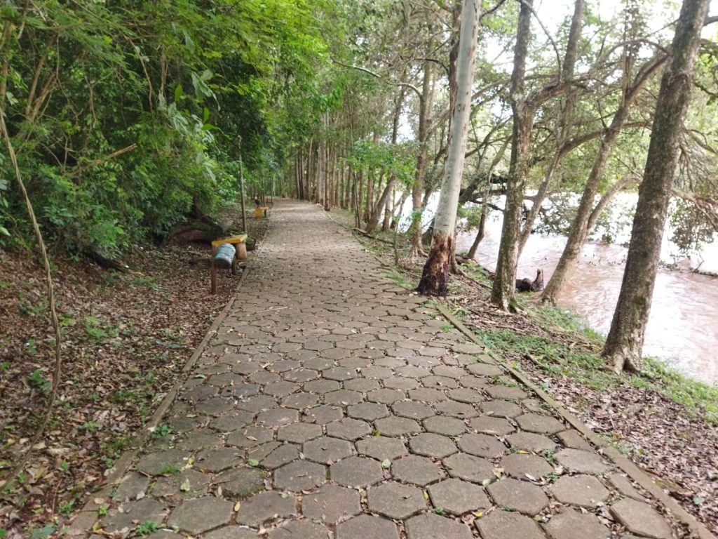 Ricarddo Barros Guerreiro