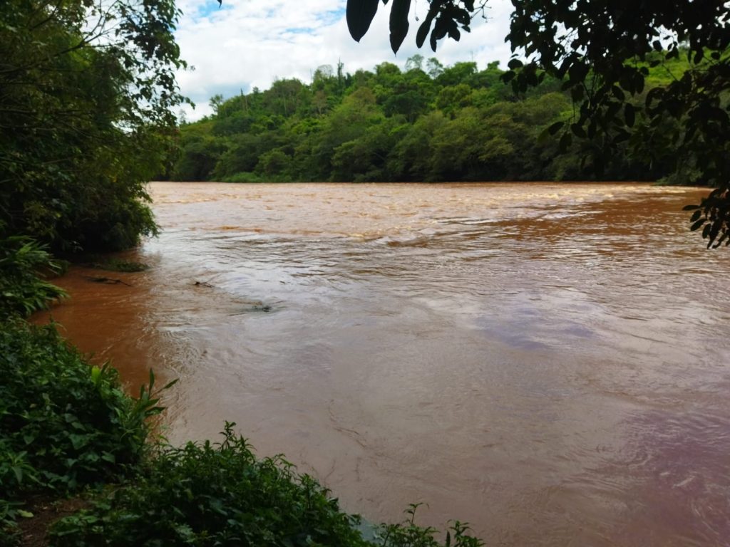 Ricarddo Barros Guerreiro