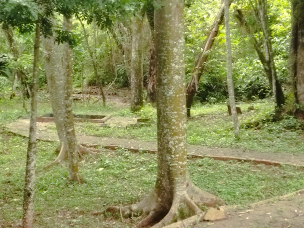 Ricarddo Barros Guerreiro