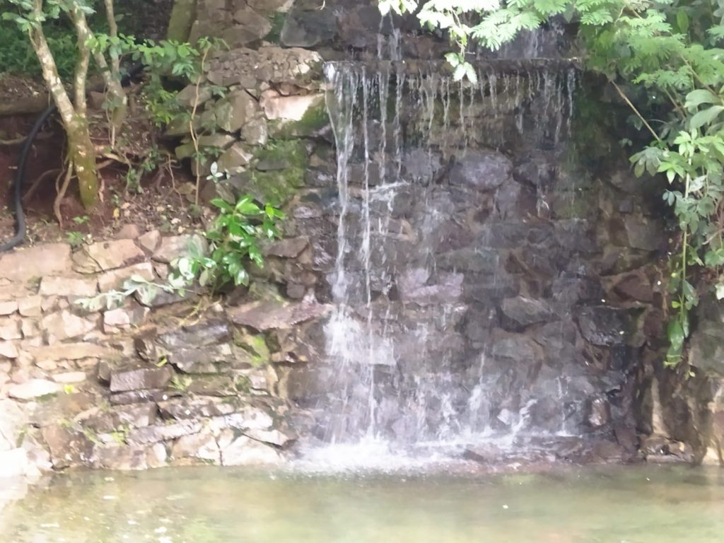 Ricarddo Barros Guerreiro