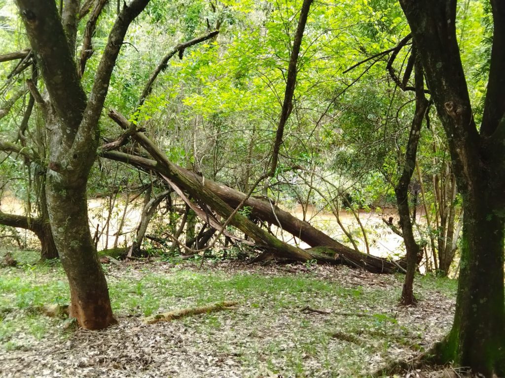 Ricarddo Barros Guerreiro