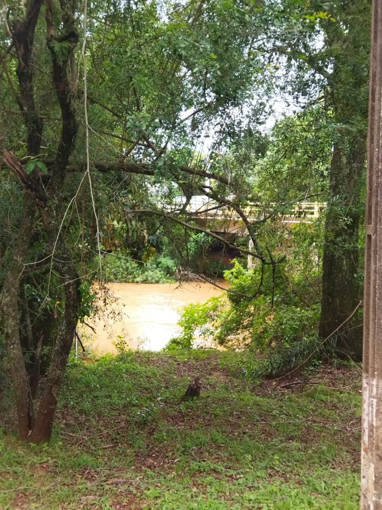 Ricarddo Barros Guerreiro