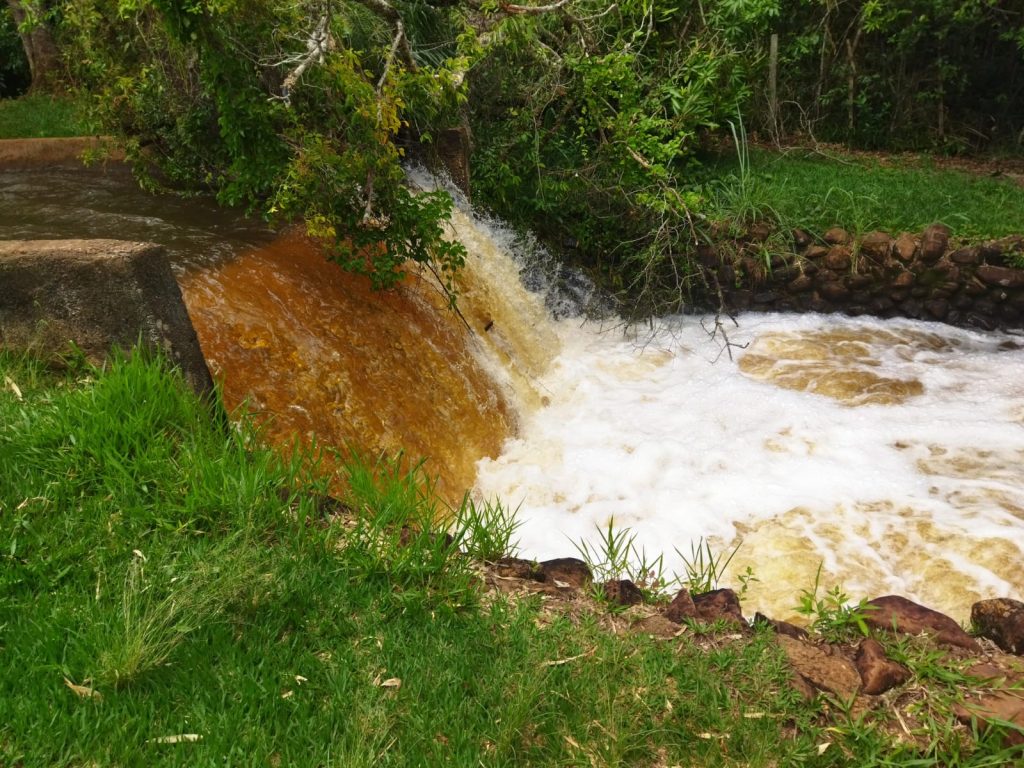 Ricarddo Barros Guerreiro