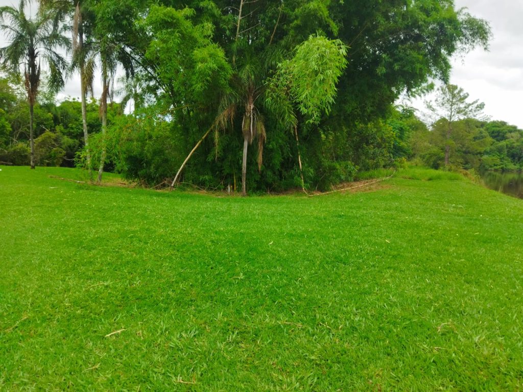 Ricarddo Barros Guerreiro