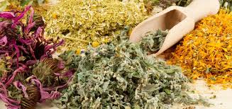 Ricarddo Barros Guerreiro