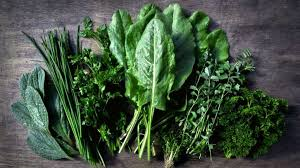 Ricarddo Barros Guerreiro