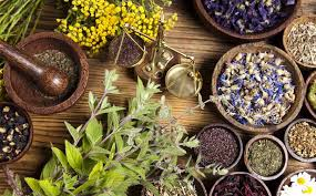 Ricarddo Barros Guerreiro